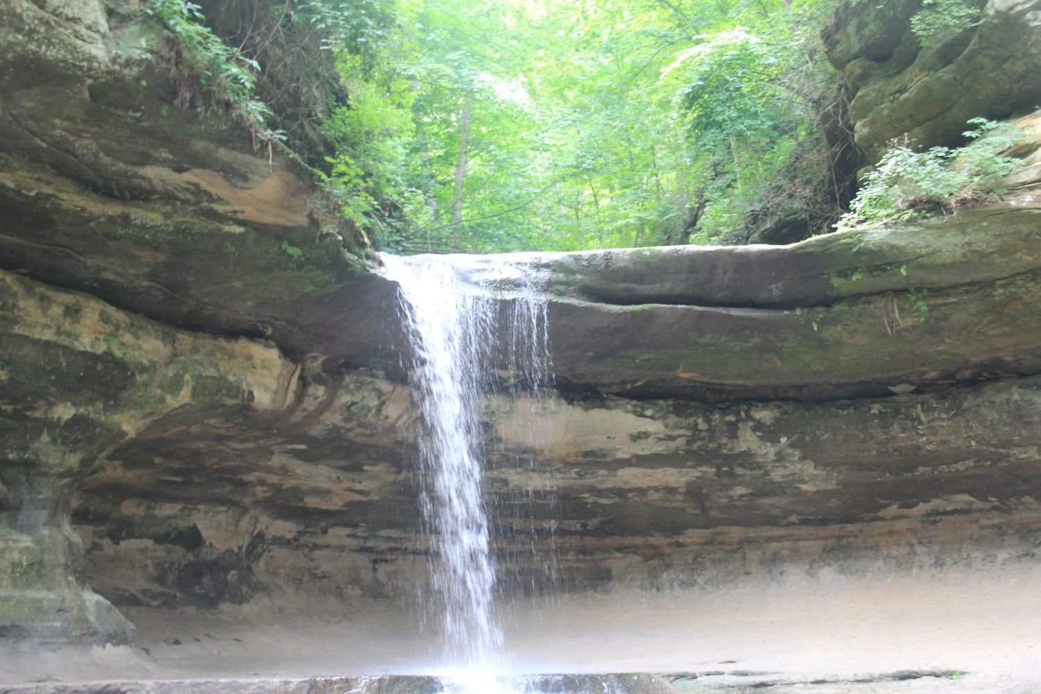 Starved Rock 